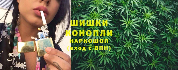 молекула духа Аркадак