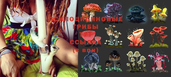 ECSTASY Алзамай