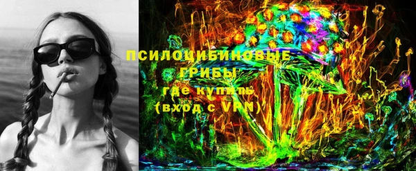 ECSTASY Алзамай